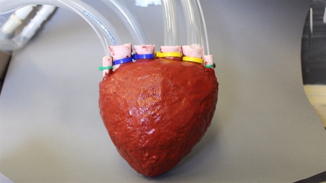 دانشمندان یک قلب تپنده ی مصنوعی را با فوم درست کردند