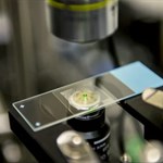 اولین لیزر خنک کننده ی مایعات میتواند به پیشرفت تحقیقات زیستی کمک کند