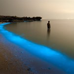 بازتاب هنر عکاسی یک ایرانی در سایت های خارجی !!چرا بعضی از سواحل در شب نورانی می شوند؟