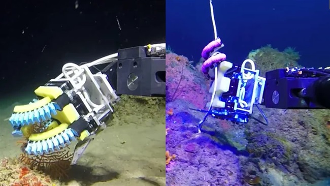 نگه دارندگان رباتی نرم ، دستی ظریف برای جستجوهای زیر دریا