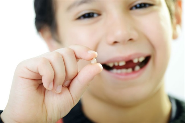 دانشمندان: دندان های شیری کودک را در برابر بیماری های دوران کودکی و جوانی محافظت می کنند