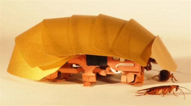 این ربات از سوسک ها الهام گرفته که خورد میکند تا از بین شیار ها و شکاف های باریک عبور کند .