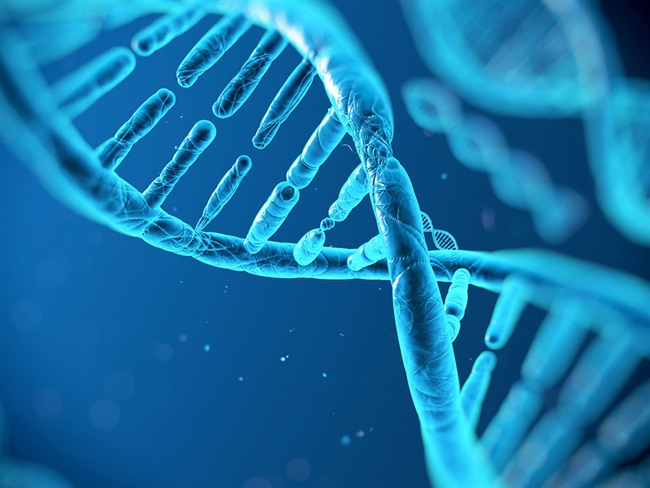ذخیره اطلاعات مایکروسافت بر روی DNA