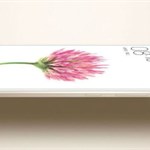گوشی Xiaomi Mi یک هیولای 6.55 اینچی بین تلفن هاست