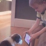این پسر بجای فرستادن توله سگش برای تعلیم دیدن ،  او را مجبور میکند که راهنمایی های لازم را از یوتیوب تماشا کند و بیاموزد