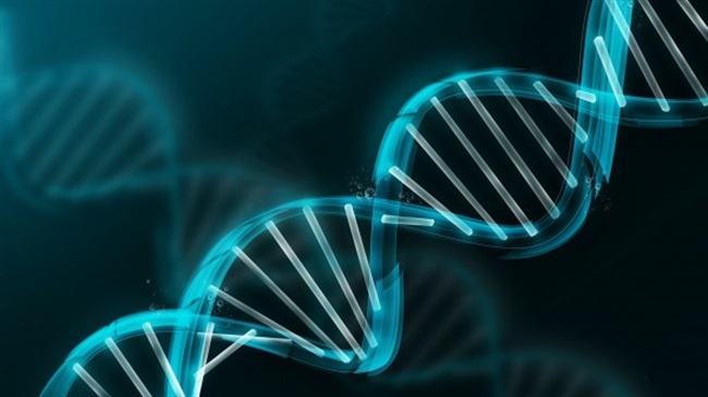 دانشمندان: ژن ها حتی پس از مرگ هم به زندگی ادامه می دهند