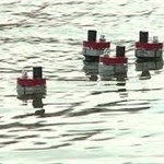 طراحی روبات های زیرآبی  ماهی نما  در دریاچه ونیز