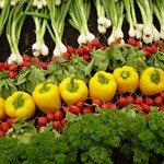 سبزی‌من؛ خرید آنلاین محصولات تره‌بار