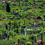 فعال سازی سیستم جهت یابی در قبرستان نووسیبریسک