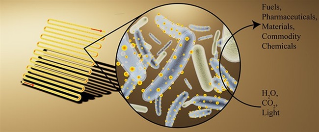 باکتری‌های سایبورگی، جایگزین مناسبی برای سوخت های فسیلی