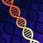 تکنیک DNA در دستگیری 