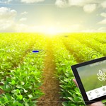 ۲۰ درصد کشاورزی ایران دیجیتالی می‌شود