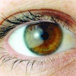 تشخیص دیابت از روی تصویر شبکیه‌ی چشم