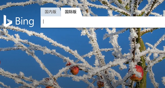 Bing در چین اجازه‌ی فعالیت ندارد