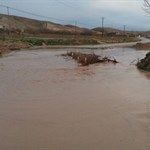 هشدار وزیر ارتباطات درباره سیلاب در گلستان در روزهای آینده