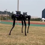 سگ رباتیک بعد از زمین خوردن بلند می‌شود